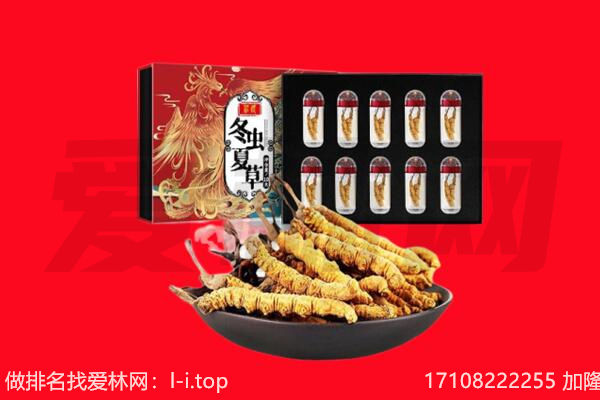 响水县回收虫草.jpg